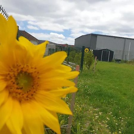 Chambre Calme Dans Une Maison Neuve Avec Jardin Billere Bagian luar foto