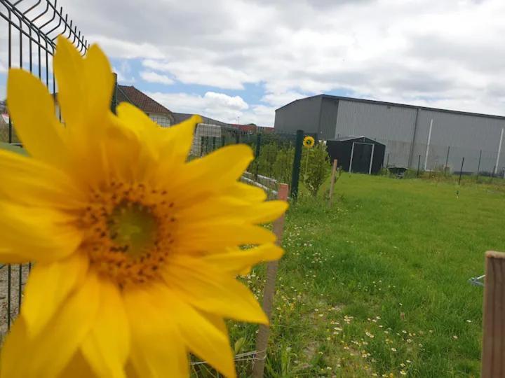 Chambre Calme Dans Une Maison Neuve Avec Jardin Billere Bagian luar foto